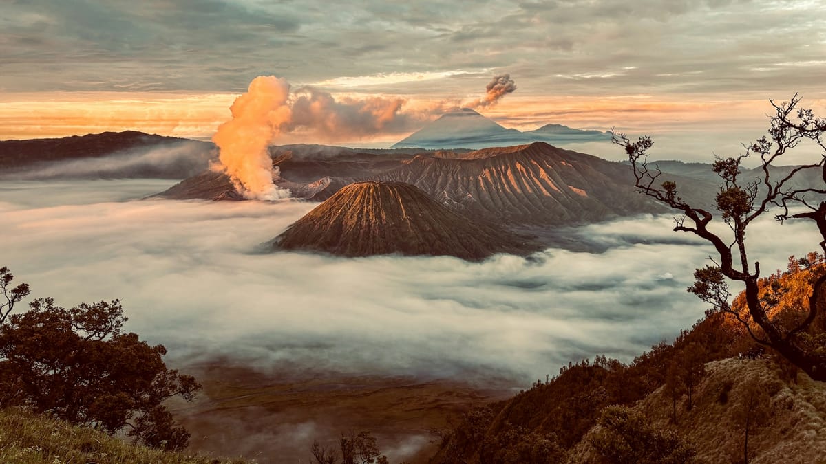 Journey Update: Dashboard, Guide, and Finally Having Runway